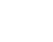 LIVERY